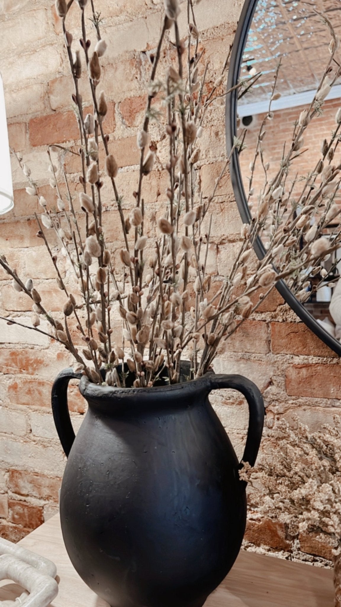 Pussy Willow Stem - The Cozy Nest