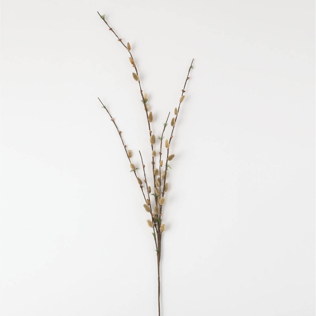 Pussy Willow Stem