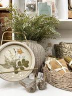 Round Framed Botanicals - Marigold - The Cozy Nest