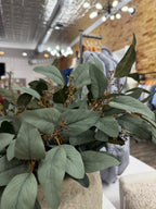 Seeded Eucalyptus - The Cozy Nest