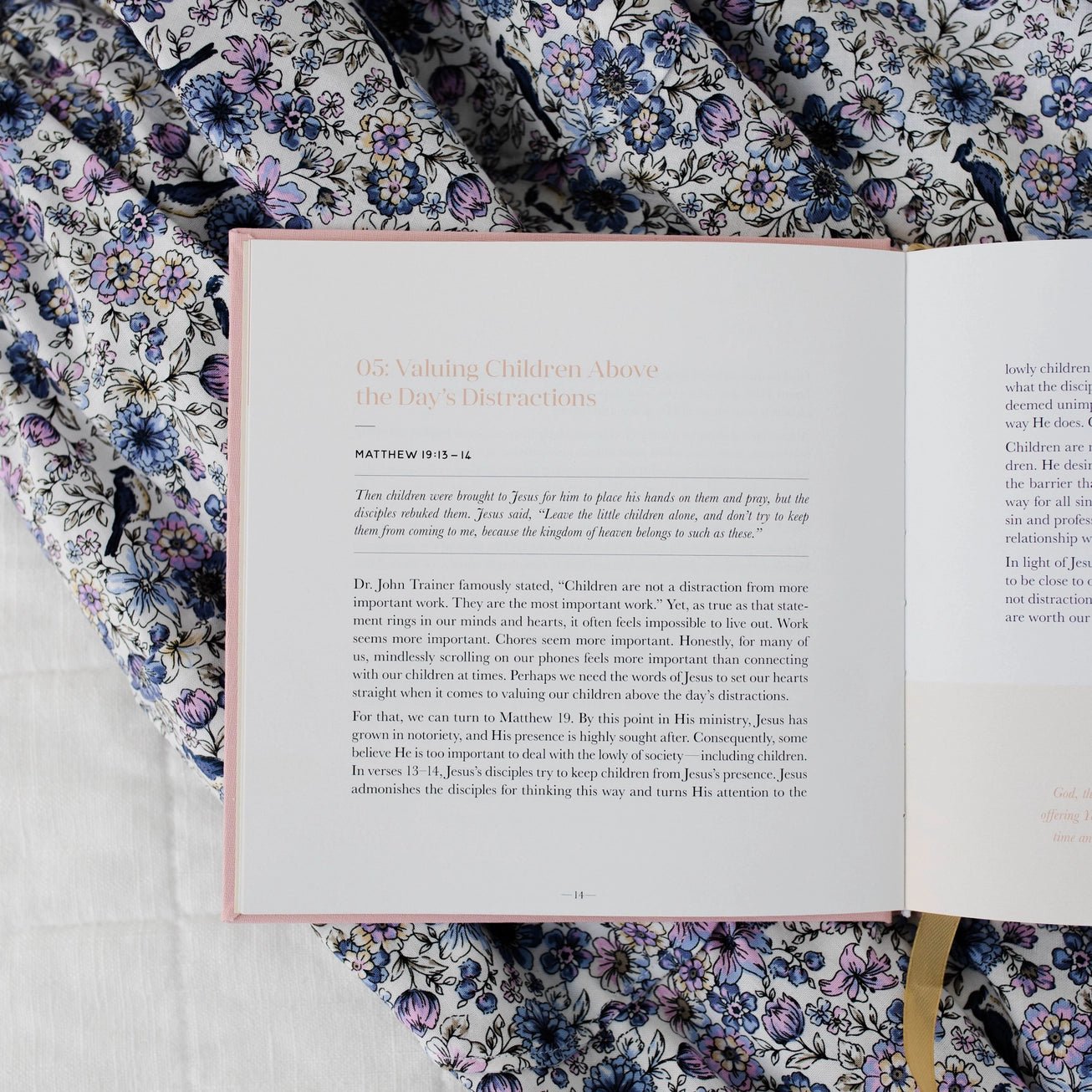 Steadfast Motherhood Devotion - The Cozy Nest