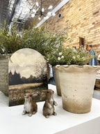 Terra - cotta Planter w/ Ruffled Edge, Distressed Finish - The Cozy Nest