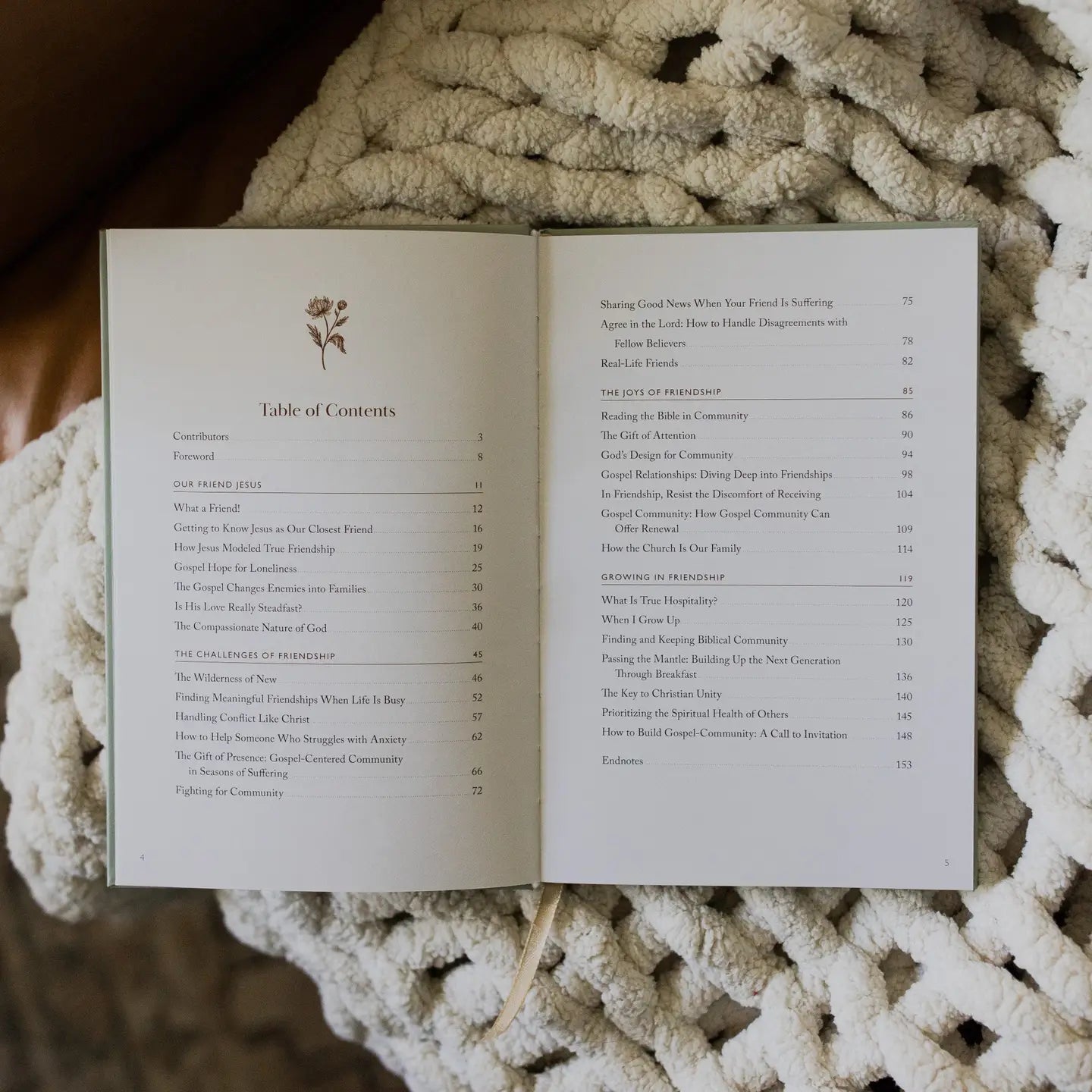 What A Friend We Have In Jesus Devotion - The Cozy Nest